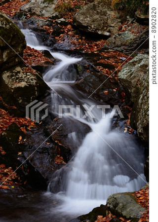 Chiken瀑布 Chiken瀑布 8902820