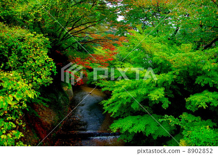 Arima Onsen 8902852