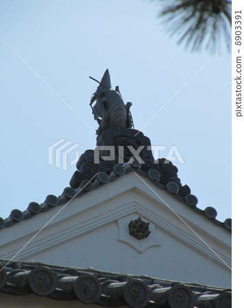 愛媛縣的松山城 8903391