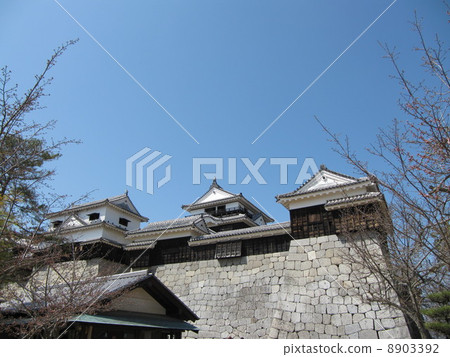 Matsuyama castle in Ehime prefecture 8903392