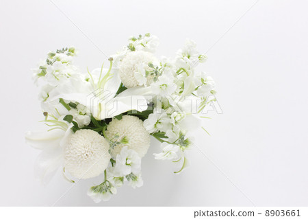 百合和絨球菊花和股票的白色排列（左側） 8903661