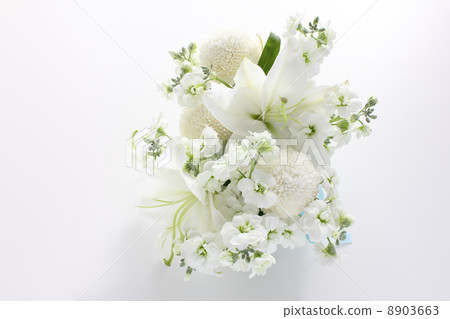 百合和絨球菊花和股票的白色排列（水平中間） 8903663