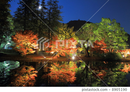 白水Amidado 8905190