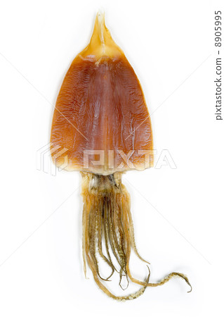 Matsuku Yume 8905995