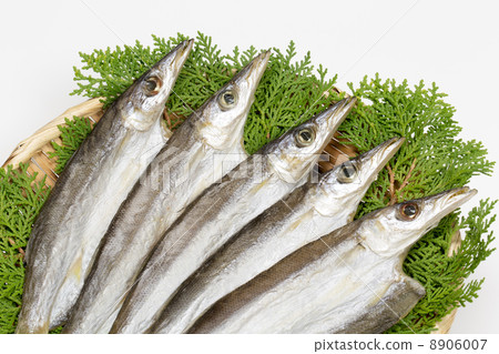 鹽乾奶酪 鹽乾奶酪 8906007