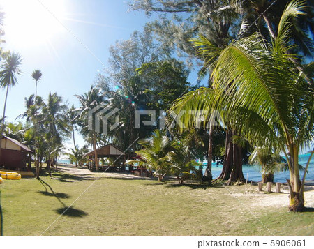 The sunny tropical island The sunny tropical island 8906061