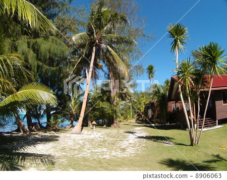 The sunny tropical island 8906063