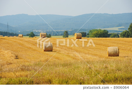 Sheaves in a field 8906064