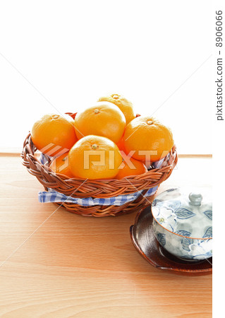 Mandarin orange in winter 8906066