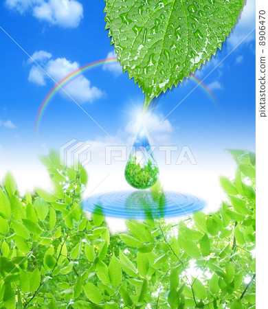 Echo's drop from one leaf 8906470