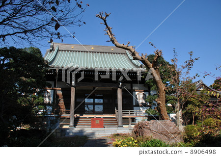 Nakayama Potter的圓頂 Nakayama Potter的圓頂 8906498