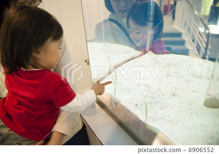 Parent and child seeing chinganago Parent and child seeing chinganago 8906552