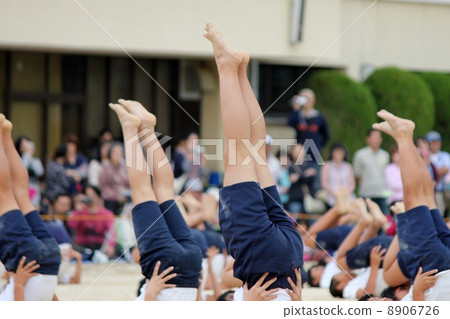 Set gymnastics Set gymnastics 8906726