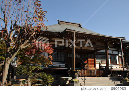 Nakayama Potter的圓頂 Nakayama Potter的圓頂 8906983