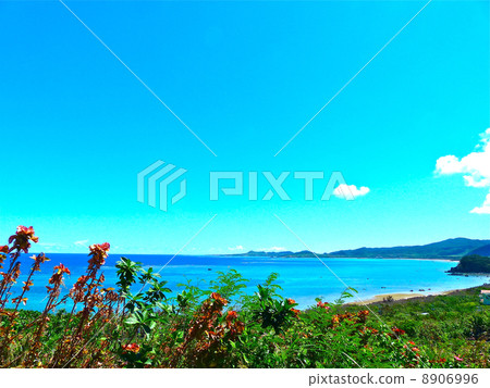 View from Tamazusaki 8906996