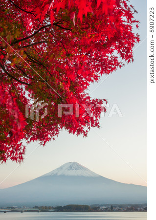 黃昏FUJI秋葉 8907223