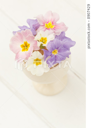 spring flowers 8907429