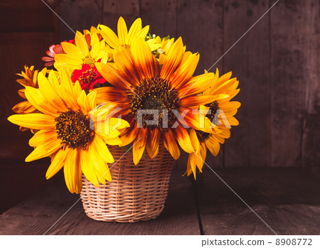 sunflowers in basket sunflowers in basket 8908772