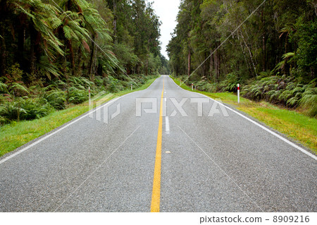 Empty road stretching out Empty road stretching out 8909216