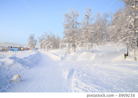 Winter Landscape Garden 8909238