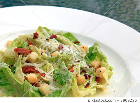 caesar salad caesar salad 8909256