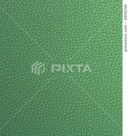 Fake Leather 8909266