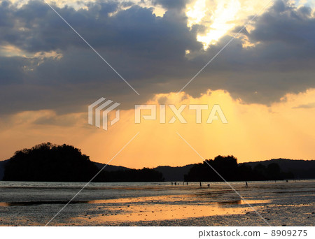 Sunset at beach Sunset at beach 8909275