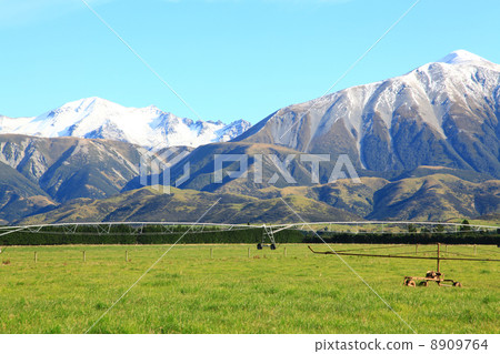 southern alps in New Zealand 8909764