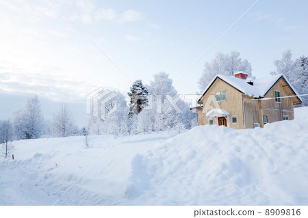 Winter landscape lapland Sweden 8909816