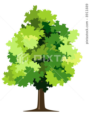 wood wood 8911889