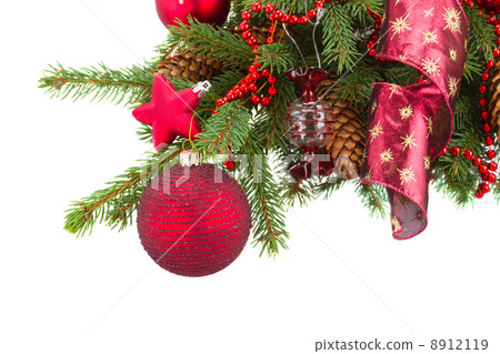 green fir tree and red christmas ball green fir tree and red christmas ball 8912119
