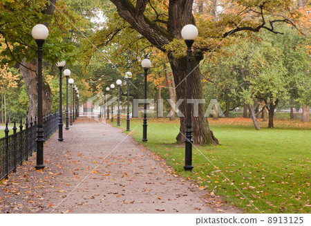 Autumn park Kadriorg, Tallinn 8913125