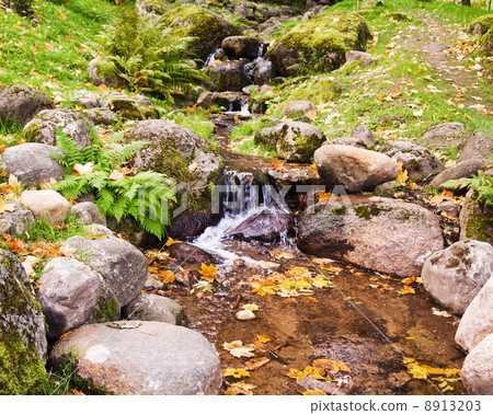 Stream among stones in autumn park Stream among stones in autumn park 8913203