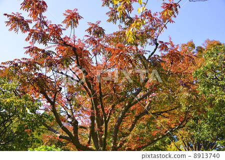 Mukojima Hyakuen Garden in early winter 8913740
