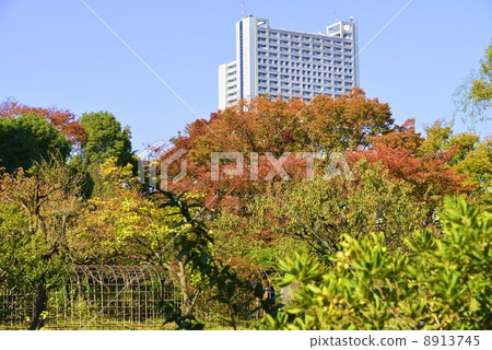 Mukojima Hyakuen Garden in early winter Mukojima Hyakuen Garden in early winter 8913745