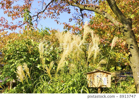 Mukojima Hyakuen Garden in early winter 8913747