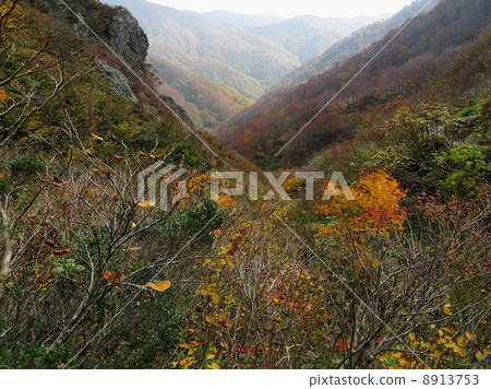 Okumino的山脈 8913753