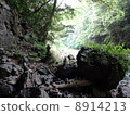  Cheonan Rivers 8914213