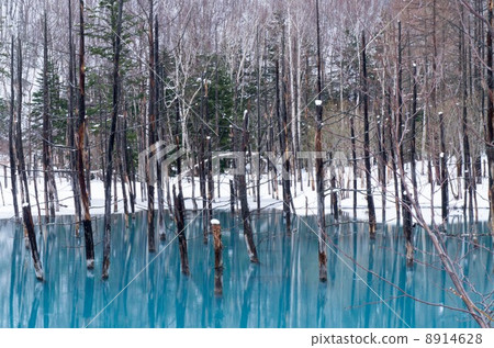 Blue pond in snow melting 8914628