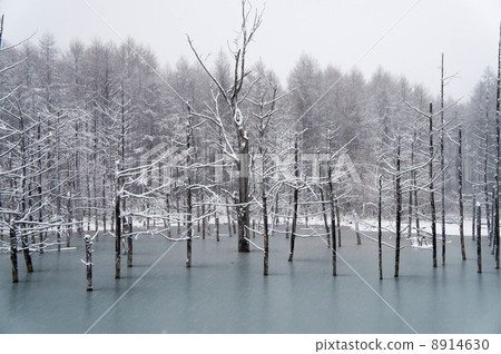 First snow's blue pond 8914630