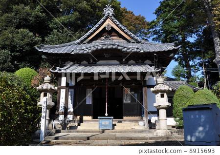 Nakayama Inishikamoda Ukamodo 8915693