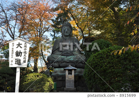 Nakayama Kishiko Mother God Great Buddha Nakayama Kishiko Mother God Great Buddha 8915699