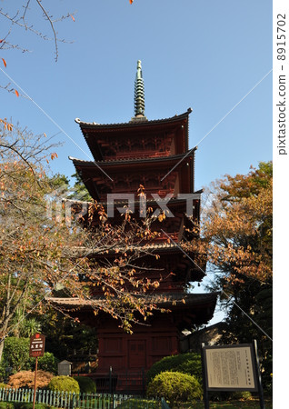 Nakayama Kishiko五層寶塔 8915702