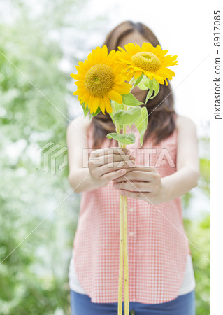 A woman with sunflower 8917085