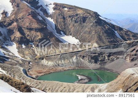 竹草 竹草 8917561