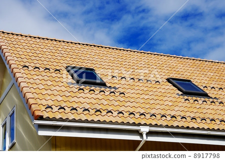 Skylight with roof roof with skylight 8917798