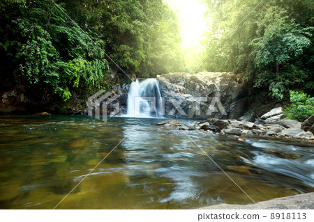 Waterfall on Sri Lanka 8918113