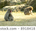 Parent and child's bond 8918418