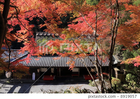 Ayu tea house in Torii 8919057