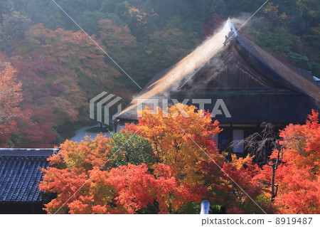 南禪寺在秋天Tempoan在水煙中跳舞 8919487